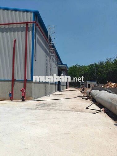 CHO THUÊ  XƯỞNG PHÚ GIÁO BÌNH DƯƠNG HỒ CHÍ MINH DIỆN TÍCH :9000M2