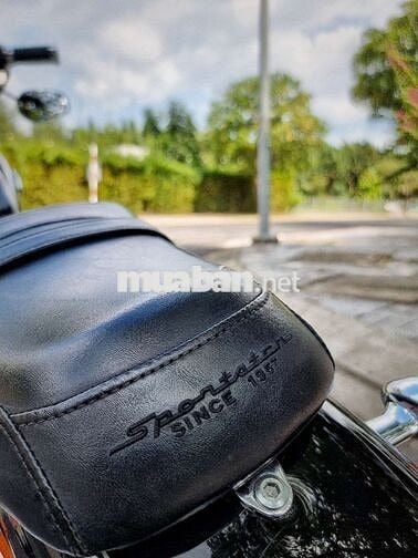 Harley Davidson Custom 1200