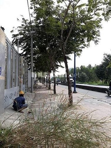 Cho thuê nhà Nguyên Căn mặt tiền 211 Đồng Văn Cống, P. Thạnh Mỹ Lợi