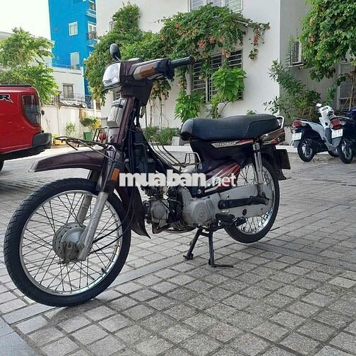 xe dream hàn quốc bstp