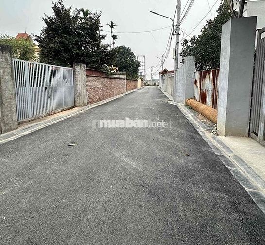 🔥 HOA HẬU ĐÌNH TRUNG- 97m FULL THỔ CƯ – TRỤC CHÍNH KINH DOANH