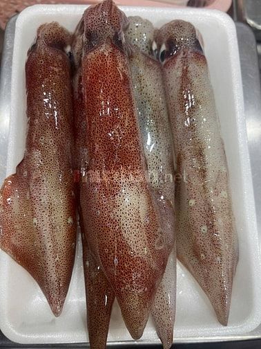 Lao động phổ thông kho lạnh hải sản