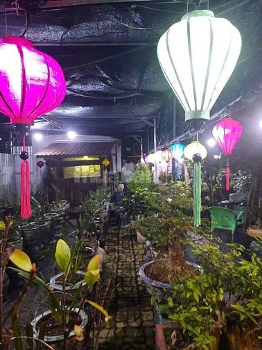 BÁN NHÀ  VƯỜN  3 MẶT TIỀN TP BẾN TRE