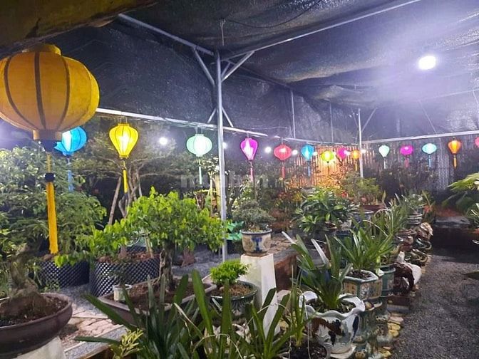 BÁN NHÀ  VƯỜN  3 MẶT TIỀN TP BẾN TRE