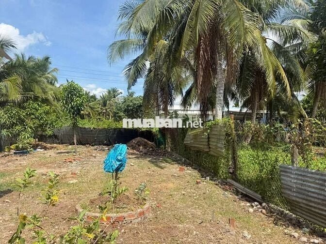 850 TRIỆU SỞ HỮU NGAY CĂN NHÀ VƯỜN SHR 215M2 PHƯỚC THẠNH, CỦ CHI