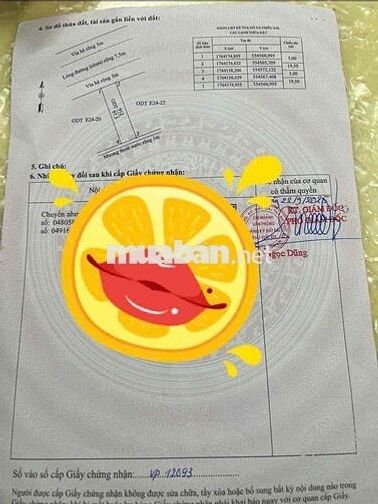 Bán Đất 97,5m2 Gần Chợ Điện Ngọc và Làng Đại Học, Giá 2,92 Tỷ