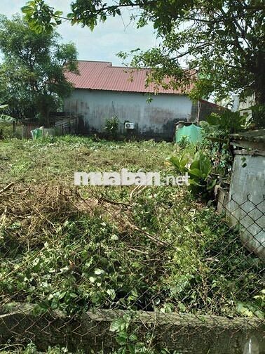 Bán đất 8x20 Vân Thê Đập, Thuỷ Thanh, Huế