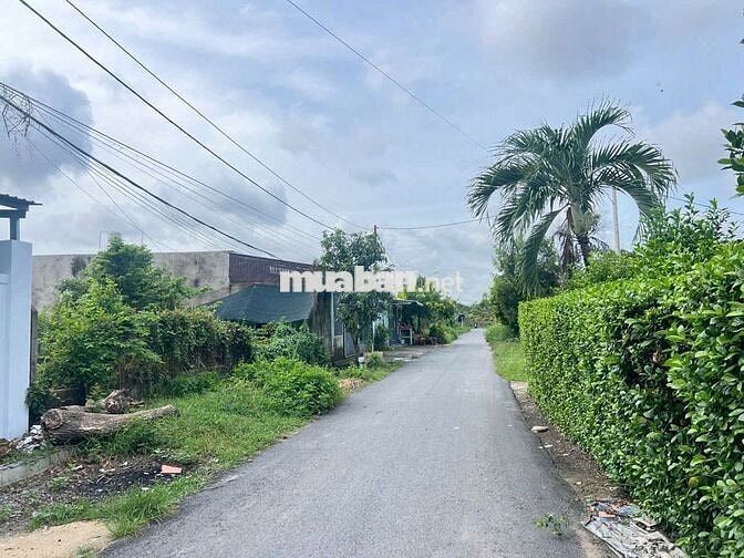 🔥 BÁN DÃY TRỌ THU NHẬP ỔN ĐỊNH – 246m² – 1 KIOT + 8 PHÒNG 🔥