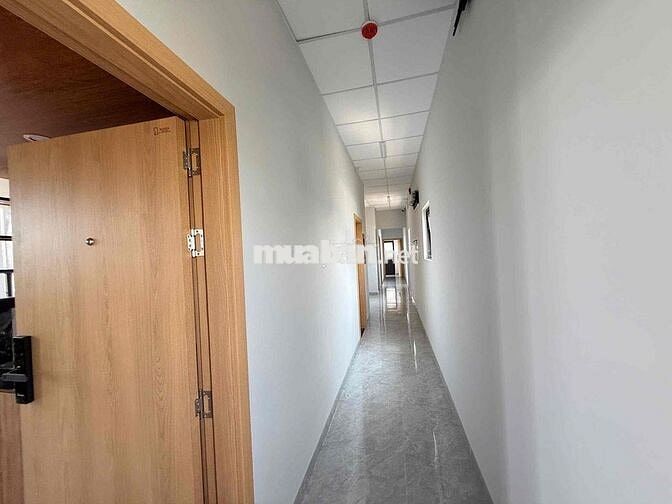 cho thuê căn hộ giá tốt khu FPT