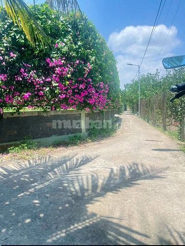 Nhà mới đẹp đường số 36 Tân Thông Hội dt 102m2 giá 850 triệu SHR
