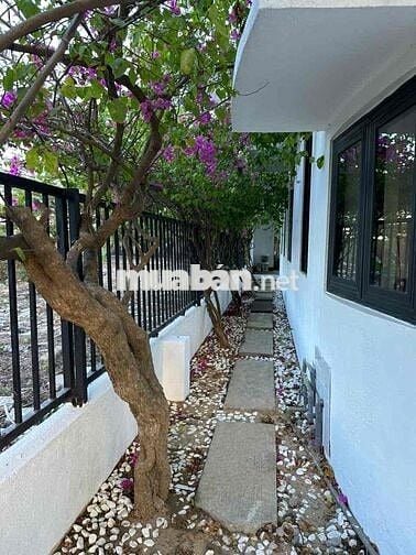 Cho thuê villa có hồ bơi mới xây khu vực Sentosa Điện Ngọc,Đà Nẵng.