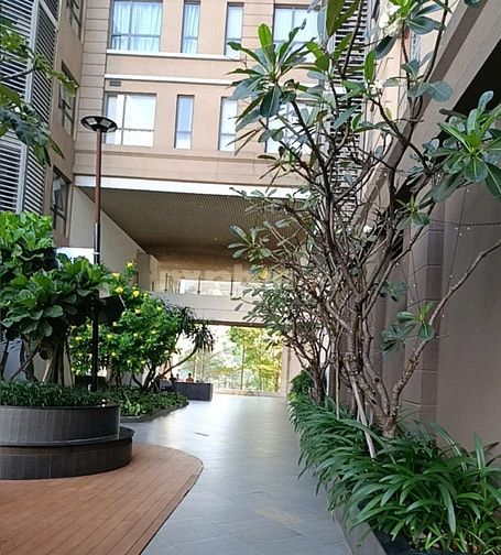 Tuyển dụng nhân viên chăm sóc cây xanh