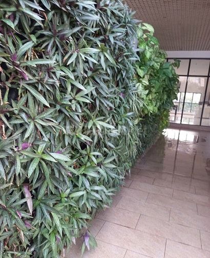Tuyển dụng nhân viên chăm sóc cây xanh