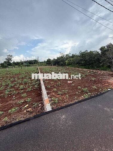 đất hoà hưng xuyên mộc, nay thuộc hoà hội TP HCM