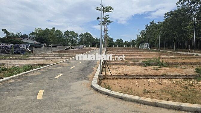Bán đất Hà Nội 80m2 giá 1tỷ3 gần vành đai 5