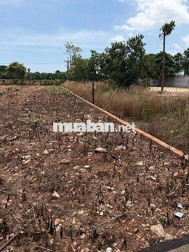 đất hoà hưng xuyên mộc, nay thuộc hoà hội TP HCM