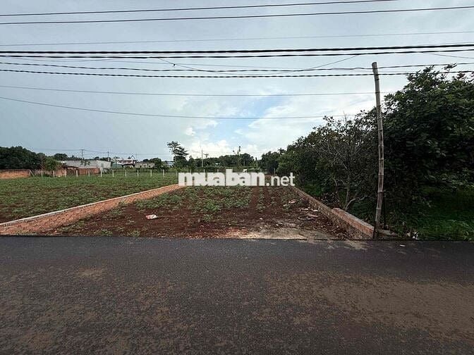 đất hoà hưng xuyên mộc, nay thuộc hoà hội TP HCM