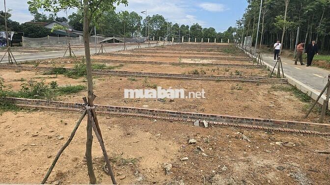 Bán đất Hà Nội 80m2 giá 1tỷ3 gần vành đai 5