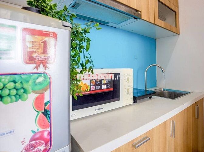 CĂN HỘ STUDIO XINH XINH GẦN CẦU RỒNG