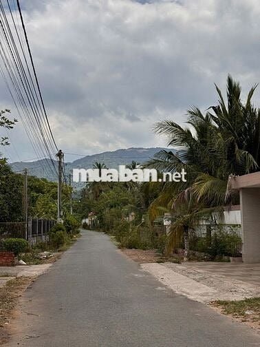 🎯 BỎ PHỐ LÊN NÚI - LÔ ĐẤT 360.7M² VIEW NÚI CHỨA CHAN ĐẦY TIỀM NĂNG! 🎯