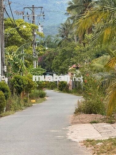 🎯 BỎ PHỐ LÊN NÚI - LÔ ĐẤT 360.7M² VIEW NÚI CHỨA CHAN ĐẦY TIỀM NĂNG! 🎯