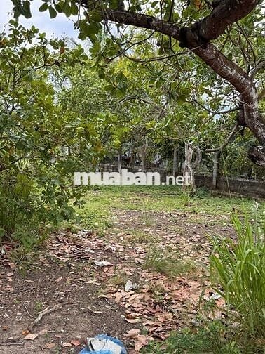 🎯 BỎ PHỐ LÊN NÚI - LÔ ĐẤT 360.7M² VIEW NÚI CHỨA CHAN ĐẦY TIỀM NĂNG! 🎯
