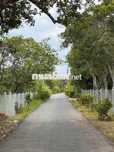 🎯 BỎ PHỐ LÊN NÚI - LÔ ĐẤT 360.7M² VIEW NÚI CHỨA CHAN ĐẦY TIỀM NĂNG! 🎯