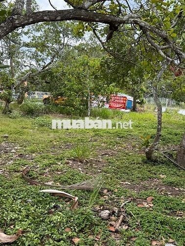 🎯 BỎ PHỐ LÊN NÚI - LÔ ĐẤT 360.7M² VIEW NÚI CHỨA CHAN ĐẦY TIỀM NĂNG! 🎯
