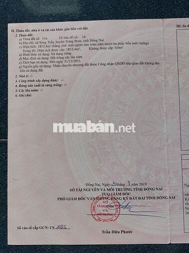 Bán Đất Trang Trại Sông Trầu Trảng Bom