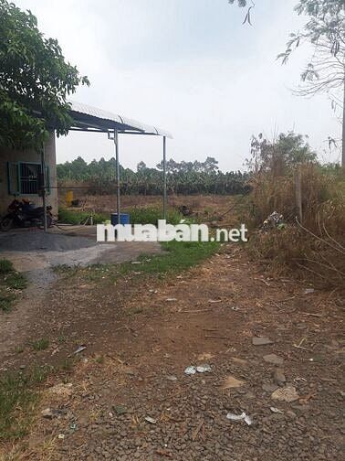 Bán Đất Trang Trại Sông Trầu Trảng Bom