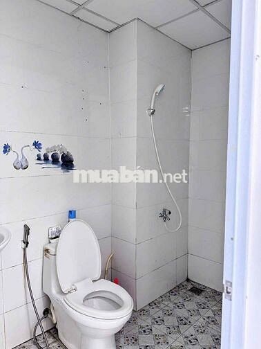 ✅Cho thuê căn officetel chung cư D-VELA Q7 46m2 NT cơ bản