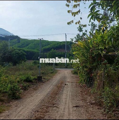 Chính chủ cần bán lô Huyện Bắc Khánh Vĩnh, Khánh Hòa