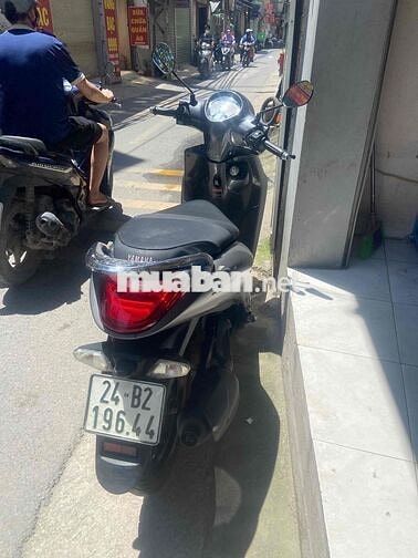Yamaha Janus màu Xám