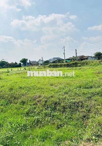 679Tr 150m2 Thổ MẶT TIỀN NHỰA ngay Chợ Bình Lãng, Sổ Riêng, Dân Đông