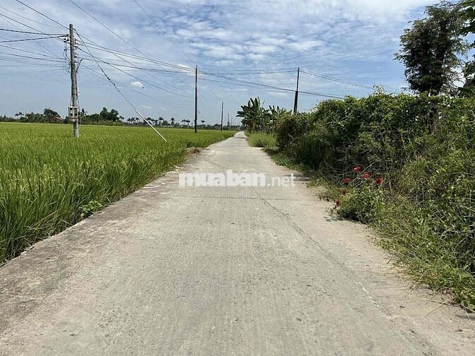 199 Triệu Lô đất Thổ cư 71m2 Khu Dân Cư gần Thị Trấn