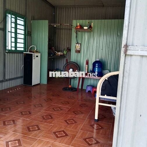 Đất & Nhà đường nhựa, tổng 1300m2, đủ cây ăn trái 4 năm, 430 triệu