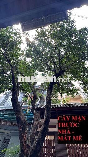 Nhà nguyên căn gò vấp thông thoáng mát mẻ , an ninh