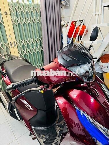 SH 150  Kiểng Trùm Mền