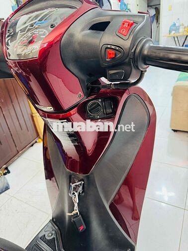 SH 150  Kiểng Trùm Mền