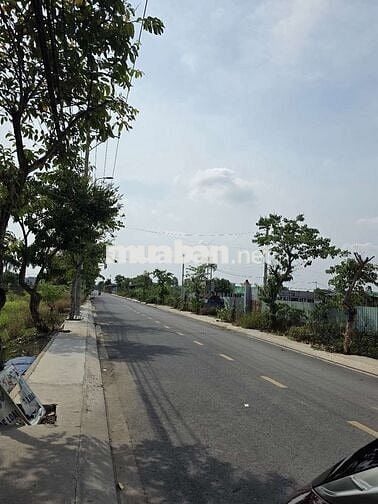 Bán đất mặt tiền thương thịnh như xuân Thới Sơn Hóc Môn.