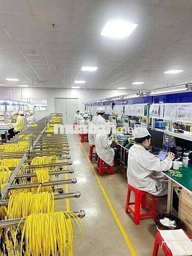 Việc làm chính thức đi làm ngay