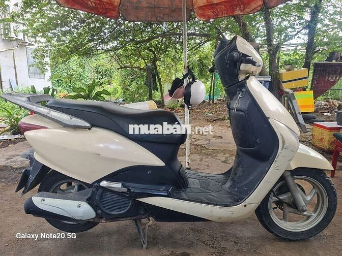 Honda Lead 2009 Trắng