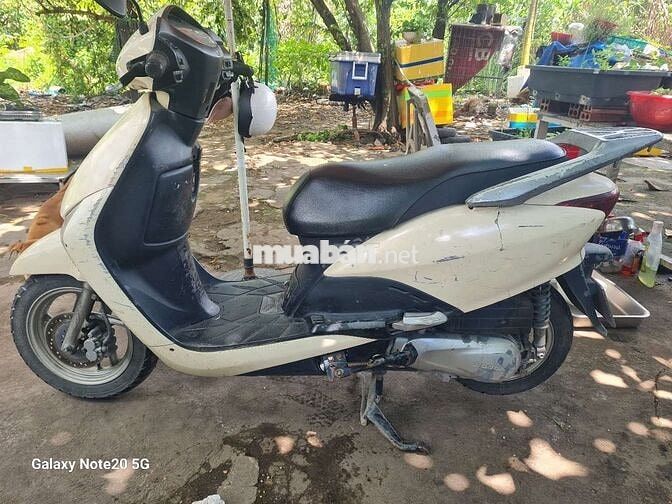 Honda Lead 2009 Trắng
