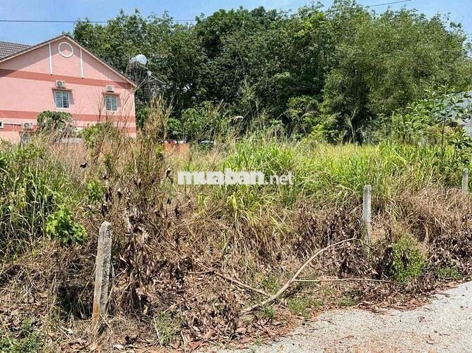 Tôi chính chủ cần bán đất mặt tiền Lai Uyên 28