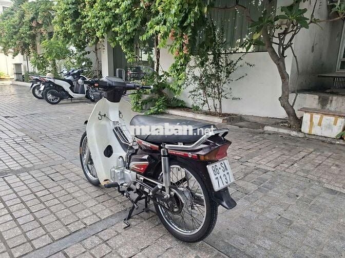 xe dream 50cc hàn quốc
