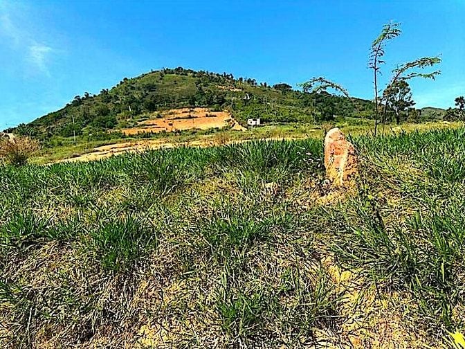 Công ty Đấu giá hợp danh Lam Sơn Sài Gòn thông báo đấu giá tài sản