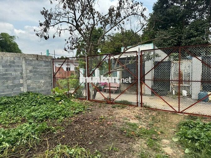 Cho thuê đất mặt tiền đường Lê Thị Hời, Tân Thông Hội