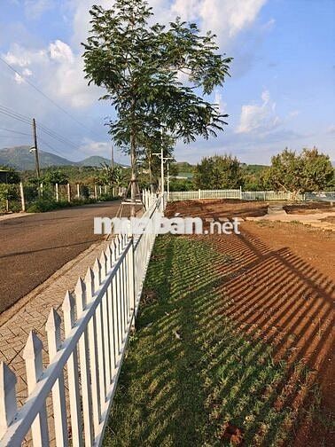 chỉ 1tr/1m2 rẻ nhất khu vực sổ hồng thổ cư,ngay TP Bảo Lộc Cũ