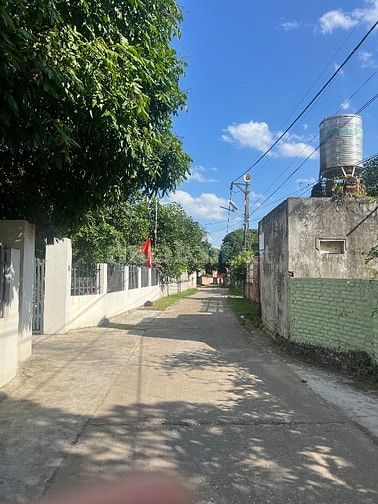 Cần tiền bán gấp 300m2 sổ đỏ chính chủ