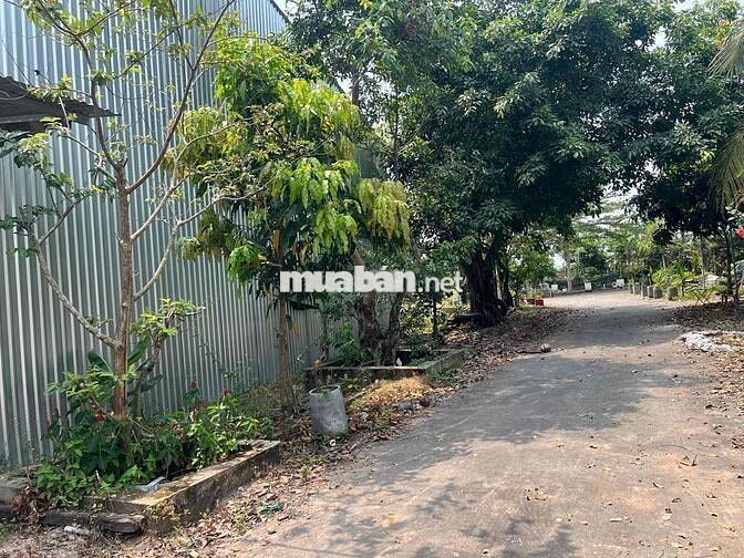 🏭 CHO THUÊ KHO 300m² – GIÁ RẺ HIẾM CÓ TẠI CỦ CHI 🏭
